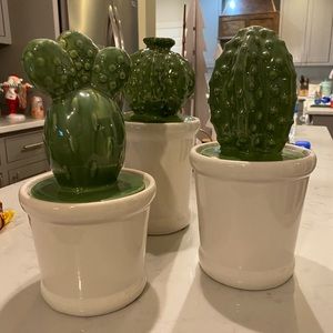 Ceramic cactus canisters set of 3